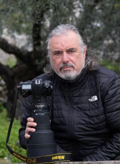 Σταύρος Τουφεξής