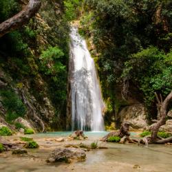 Tasos Georgakopoulos_05