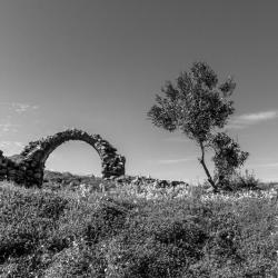 Fotis Marantos_06