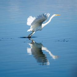 nature_08
