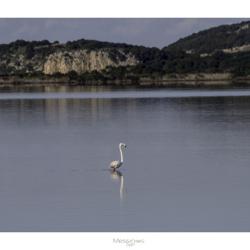 Stavros Toufexis_10