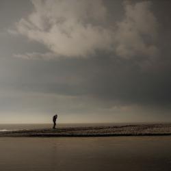 landscape_37