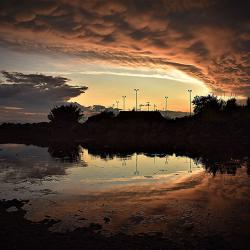 landscape_44