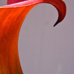 Stavroula Poulimenea_04