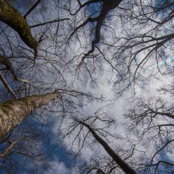 nature_29