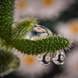 nature_08
