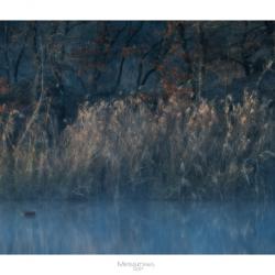 Stavros Toufexis_05