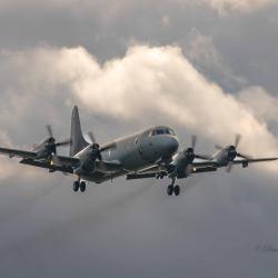 Aiplain