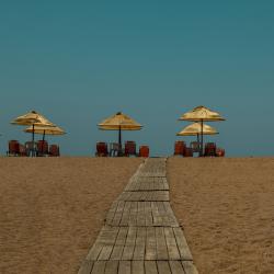 landscape_22