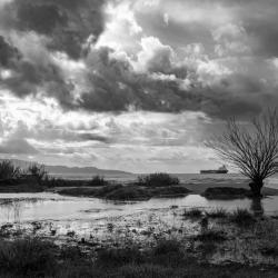nature_15