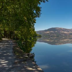 landscape_24