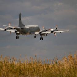 Aiplain