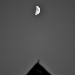 nightshot