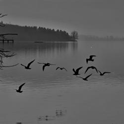 landscape_18