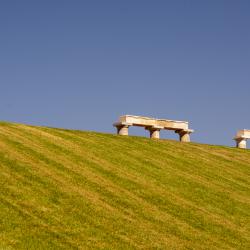 landscape_41