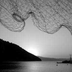 Fotis Marantos