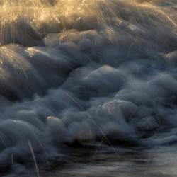 nature_06